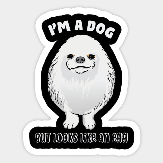 funny pomeranian memes Sticker by Charith